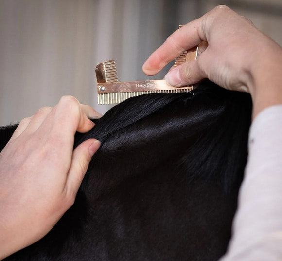 Hairy Pony Section Comb