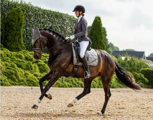 QHP Noven Competition Jacket